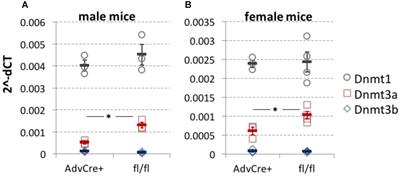 Negative Evidence for a Functional Role of Neuronal DNMT3a in Persistent Pain